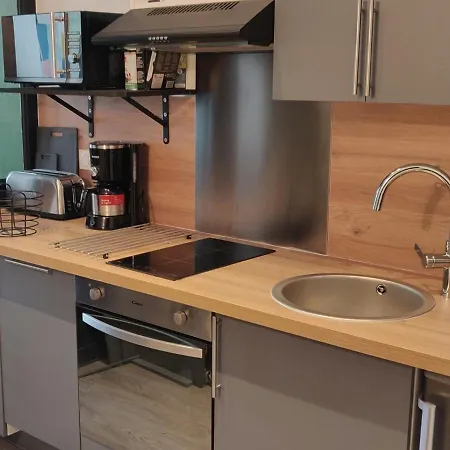 Apartment La Bourboule, 2 Pieces, 4 Personnes - Fr-1-667-36